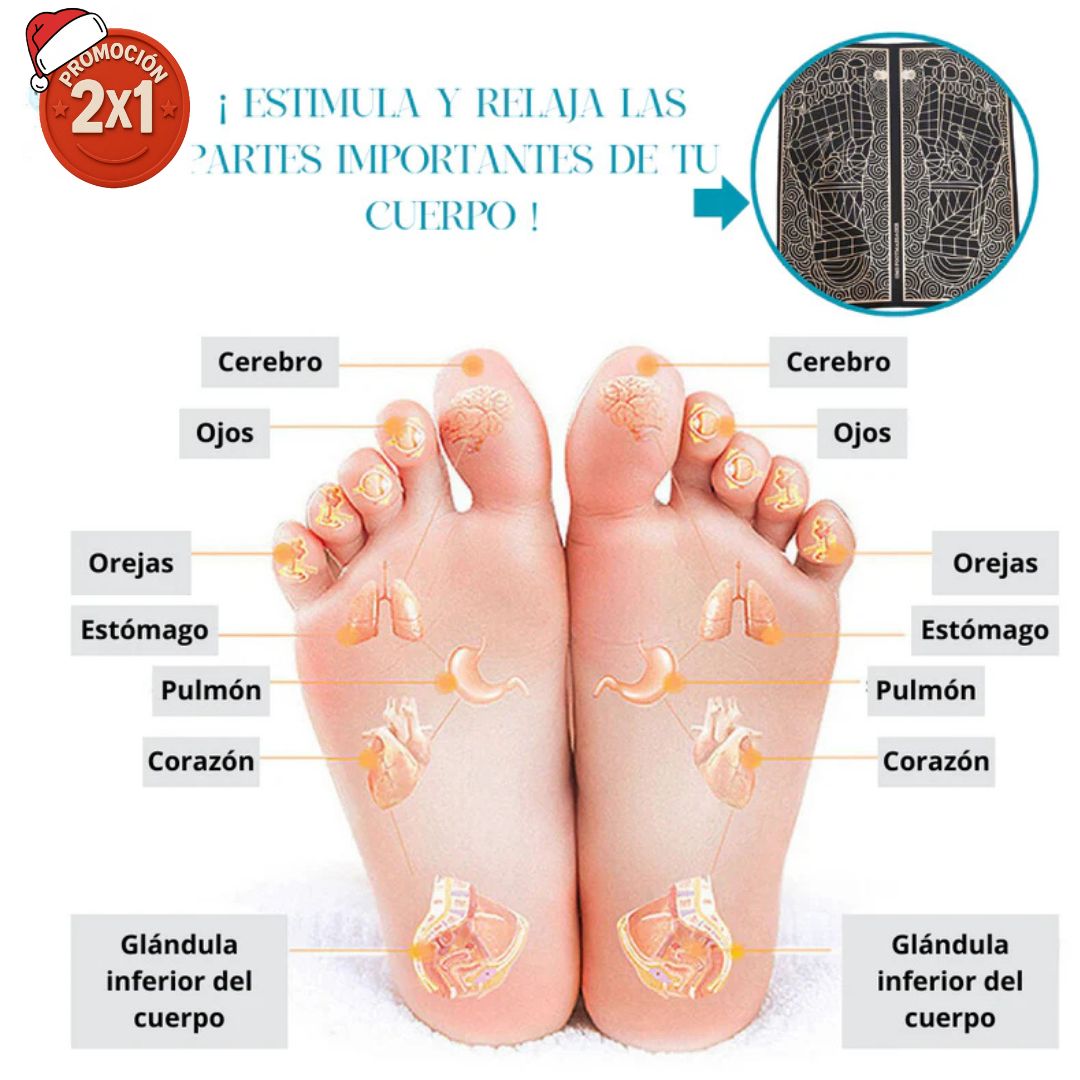 2x1 Masajeador ZEN: Alivio y circulación instantánea - Pies Sin dolor!