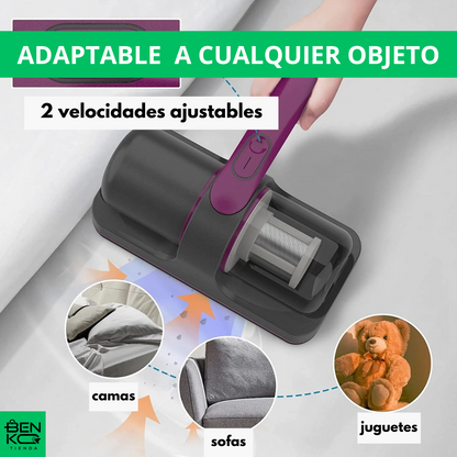 LuzClean : Aspirado + desinfección profunda en un solo paso!