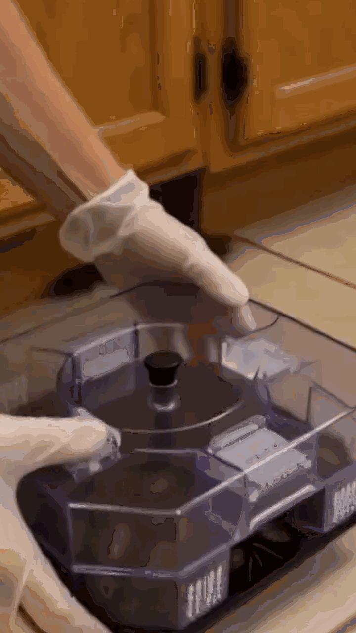CUCAGT-gif3.gif
