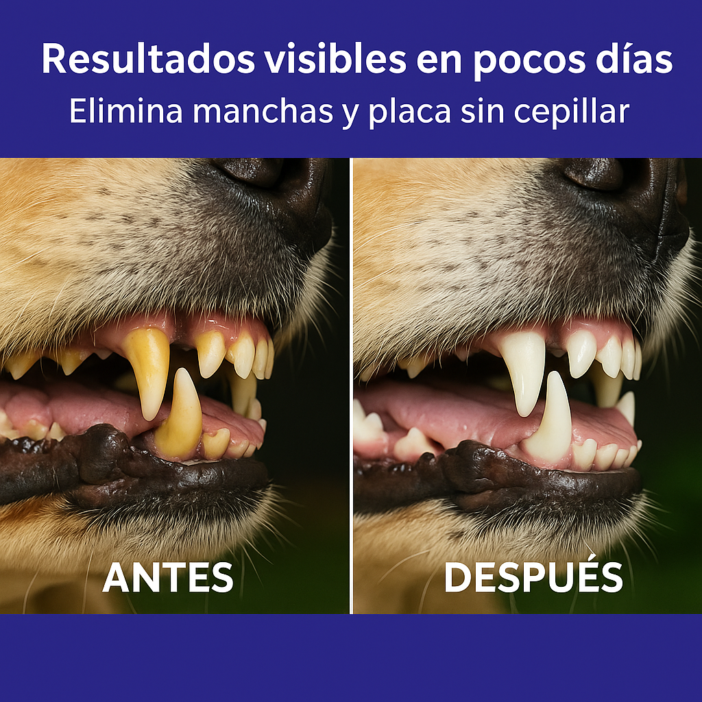 DentalVet™ : Spray Higiene bucal mascotas!