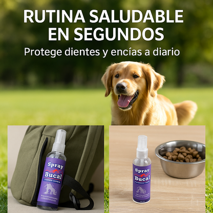 DentalVet™ : Spray Higiene bucal mascotas!