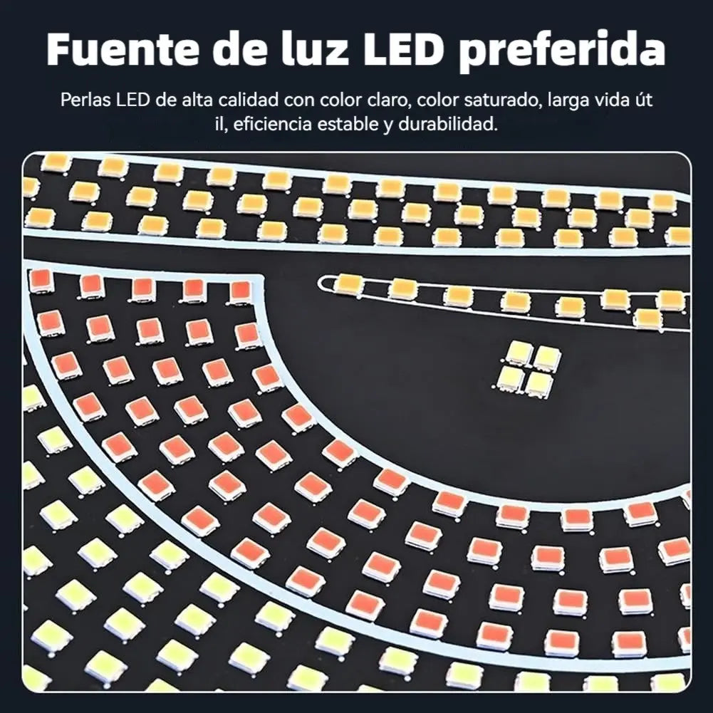 Luces LED Vehiculo – Transforma tu Interior – Ambiente Único en Ruta!