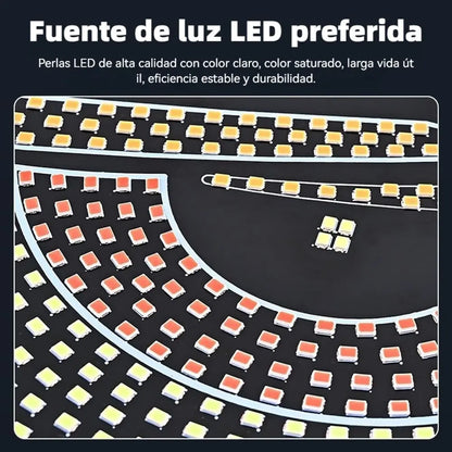 Luces LED Vehiculo – Transforma tu Interior – Ambiente Único en Ruta!