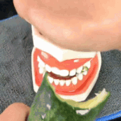 VideodeWhatsApp2025-05-05alas00.08.21_5353274b-ezgif.com-resize.gif