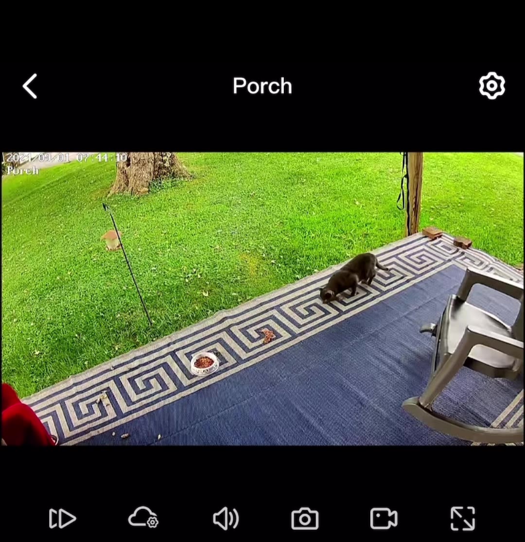 camara-360-foco-foto-3.jpg