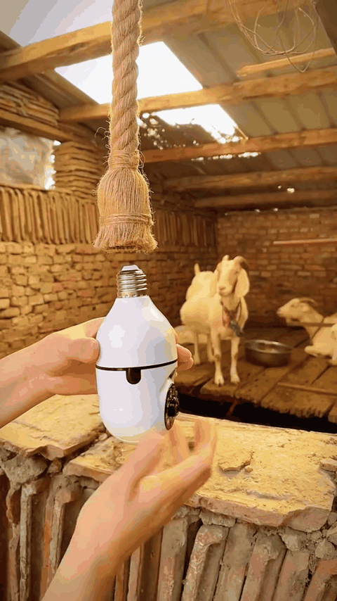 camara-360-foco-gif-1.gif