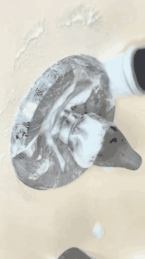 cepillo9-gif-3.gif