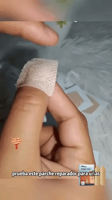corto_hongos_3_-1.webp