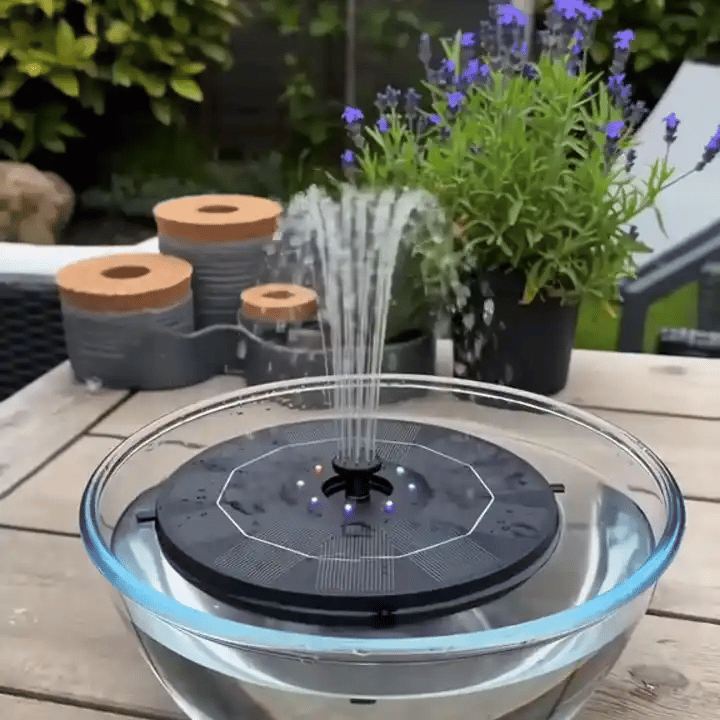 gif-2