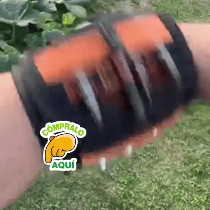 gif-3-1787095595986-ler1x.webp