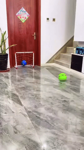 giphy_3f0eede9-425c-4971-80cb-8a8771d2419b.gif