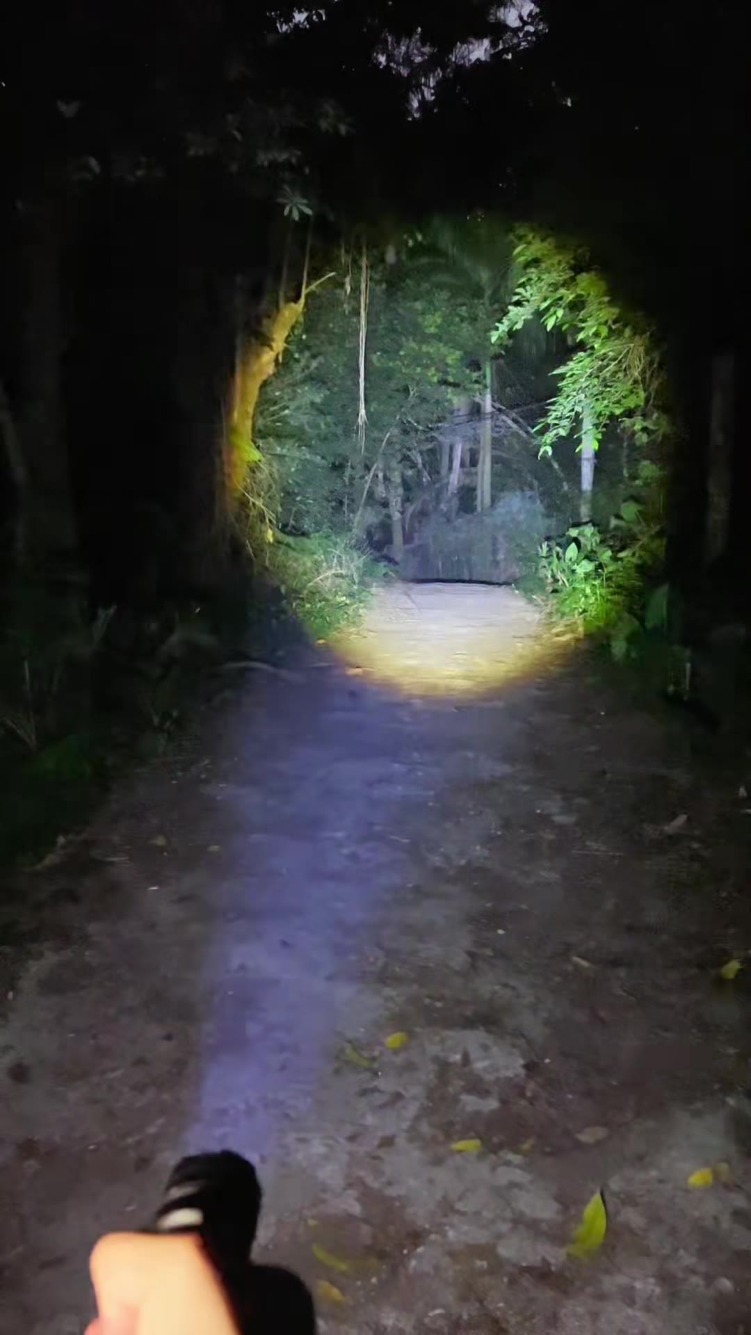 linterna-tactica-zoom-foto-2.jpg