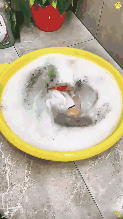 mini-lavadora-gif-3.gif