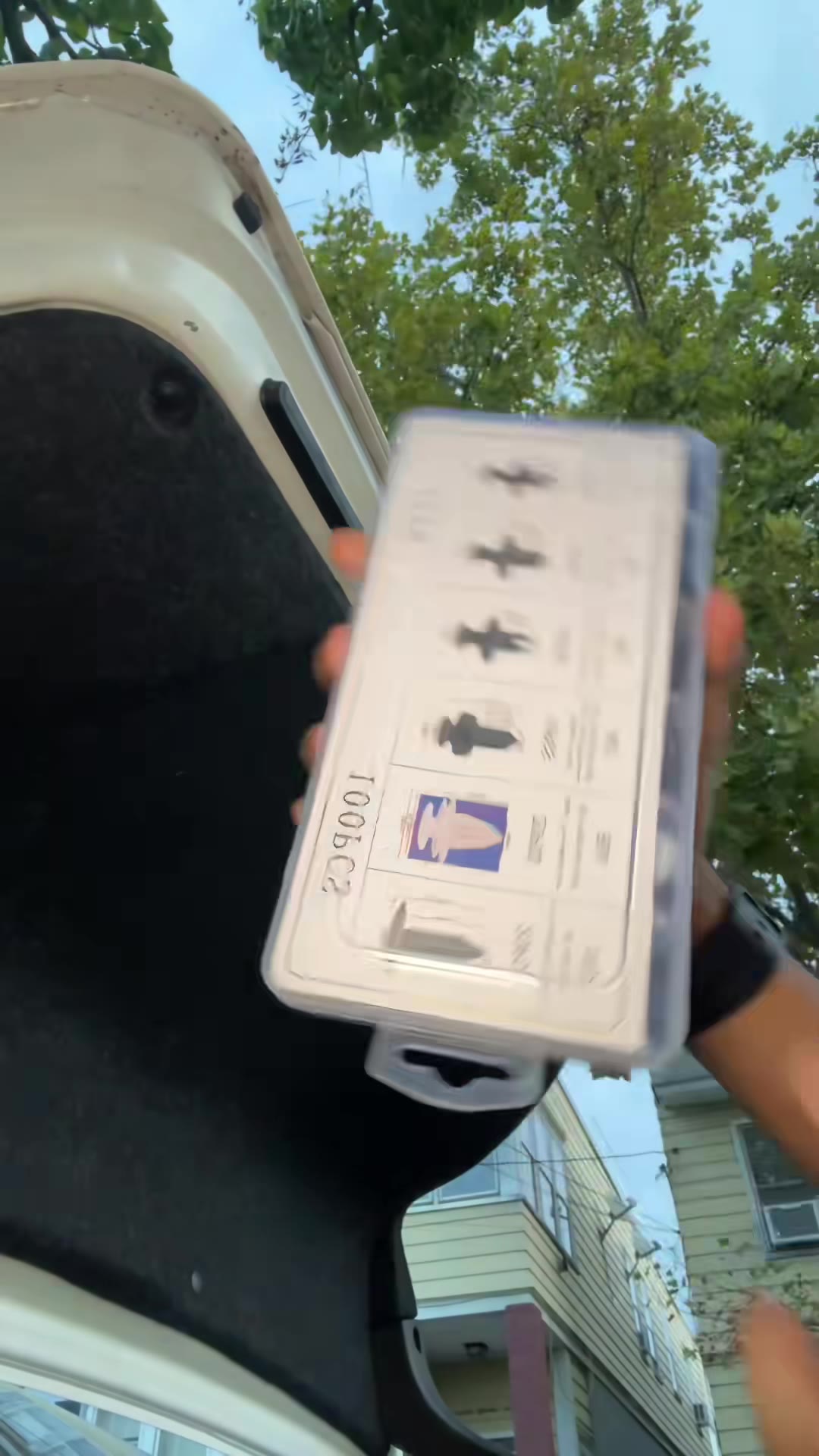 set-100-grapas-carro-foto-3.jpg